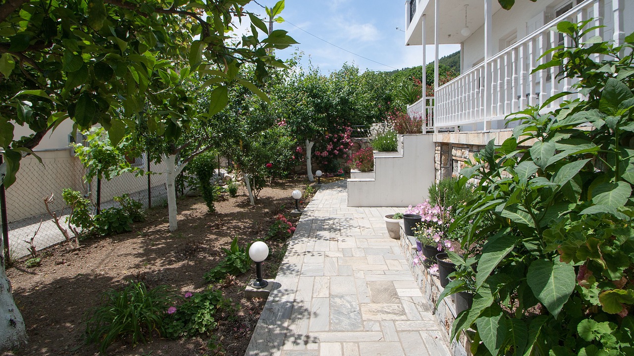 Photo of Outdoor in Skiathos Town