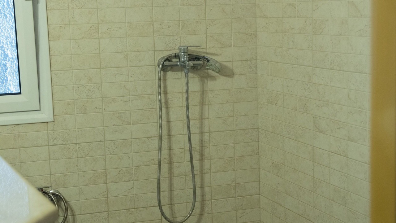 Photo of Bathroom in Pothia