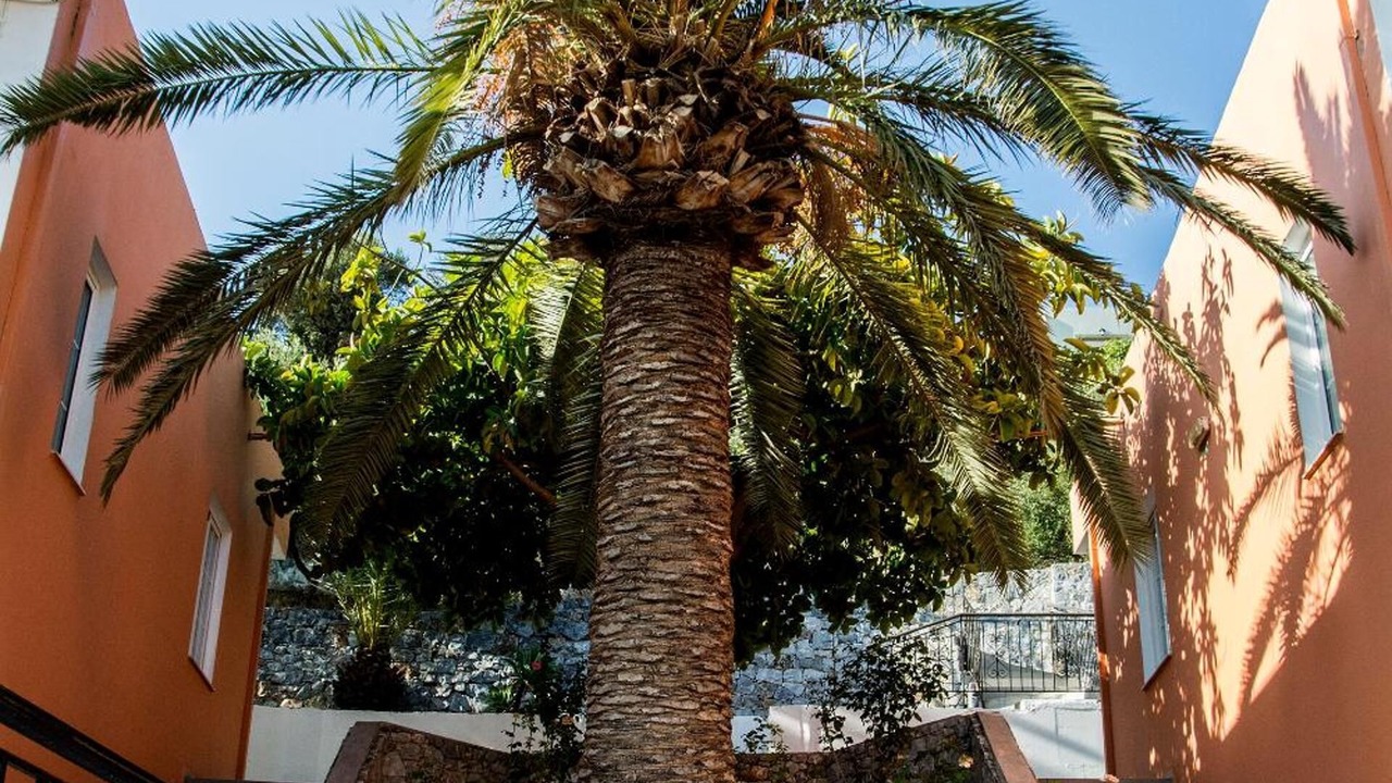 Photo of Outdoor in Exopoli