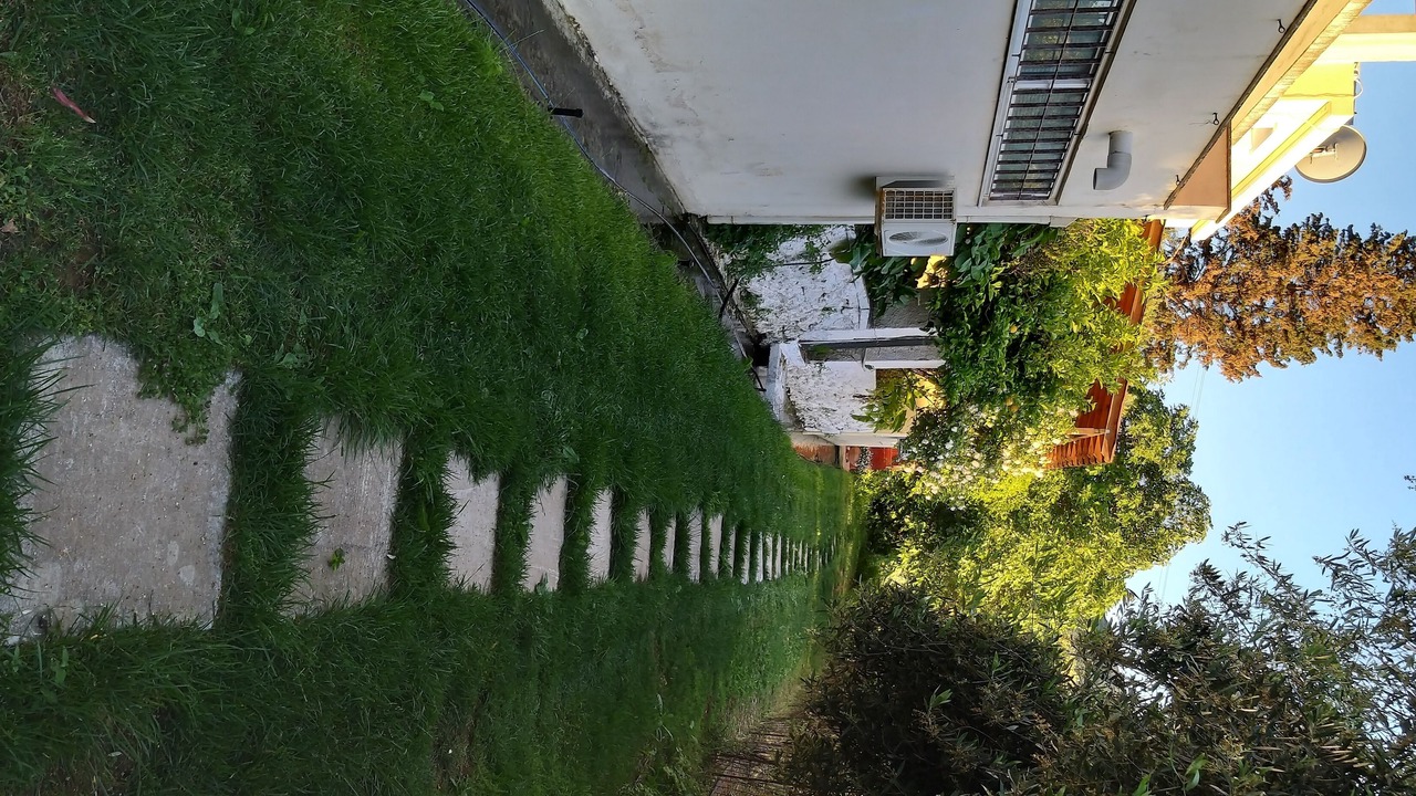 Photo of Outdoor in Nopigia