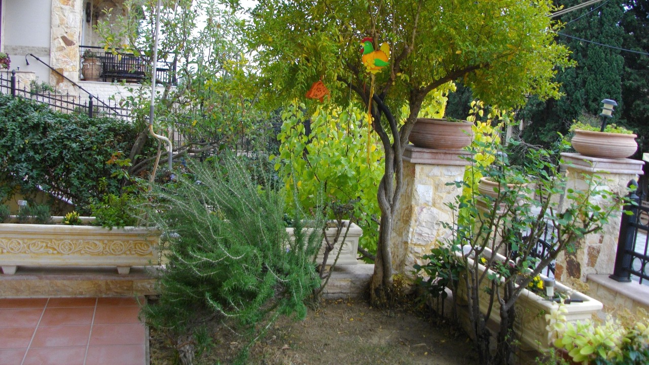 Photo of Outdoor in Oraiokastro