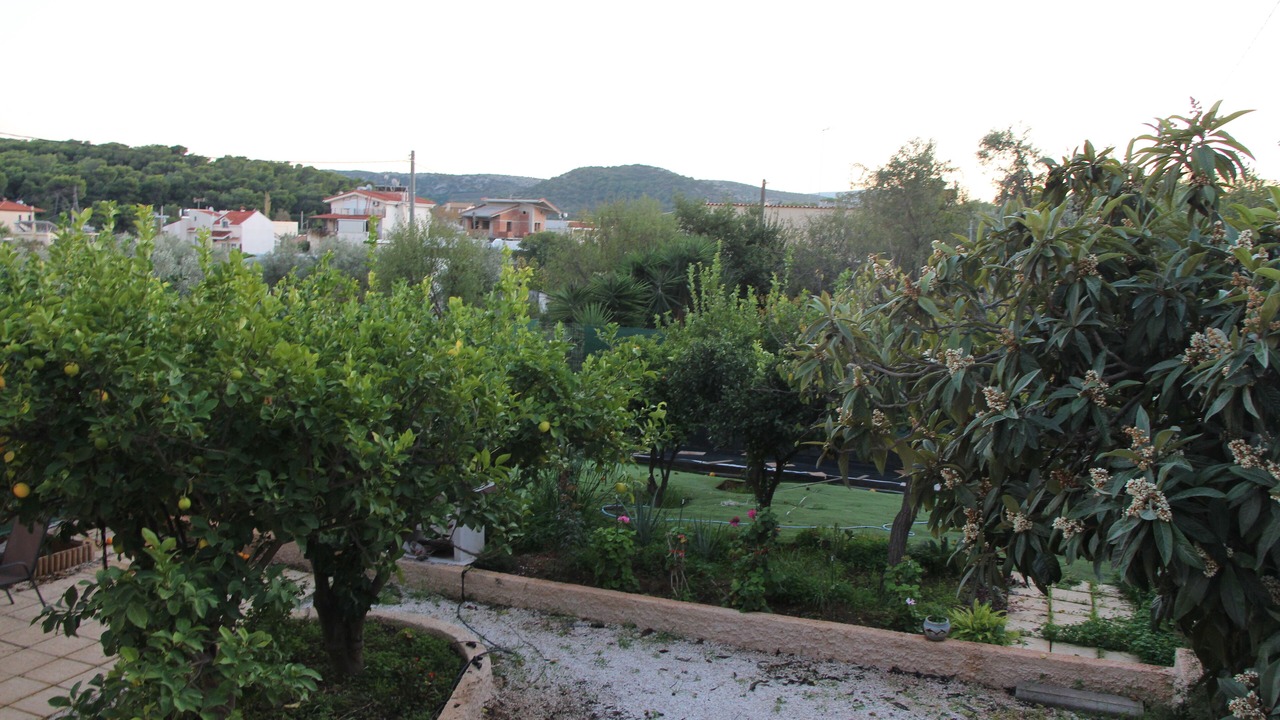 Photo of Outdoor in Spata-Artemida