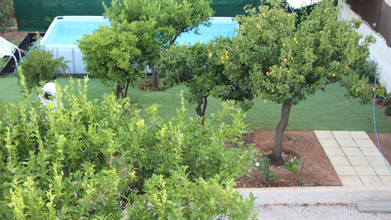 Photo of Outdoor in Spata-Artemida