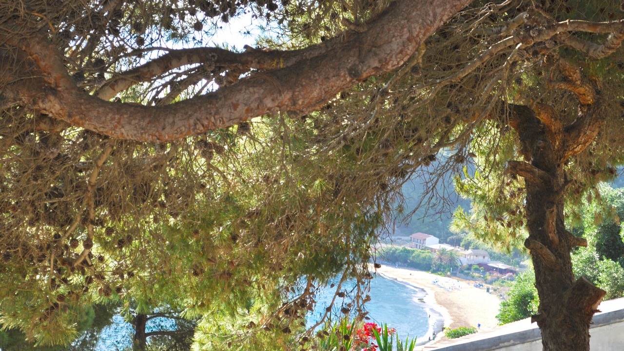 Photo of Outdoor in Sinarades