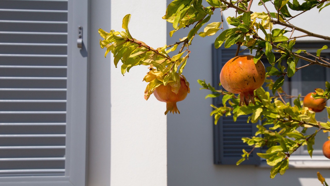 Photo of Outdoor in Zefiria