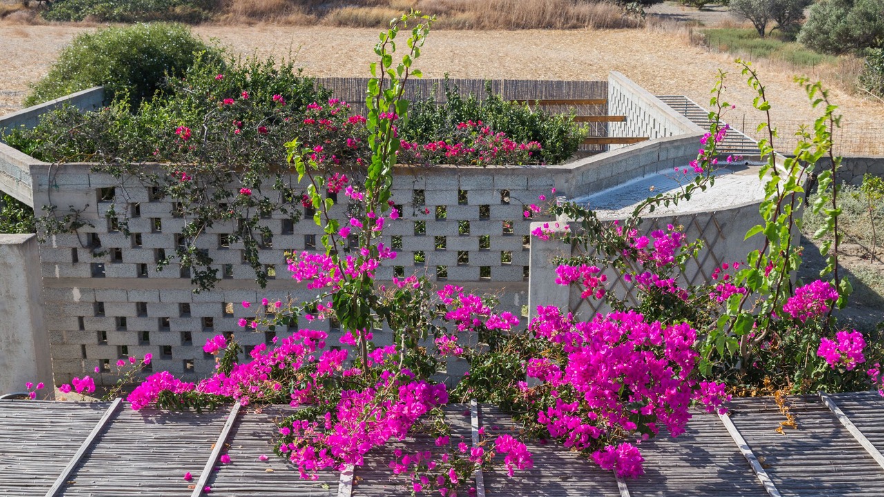 Photo of Outdoor in Zefiria