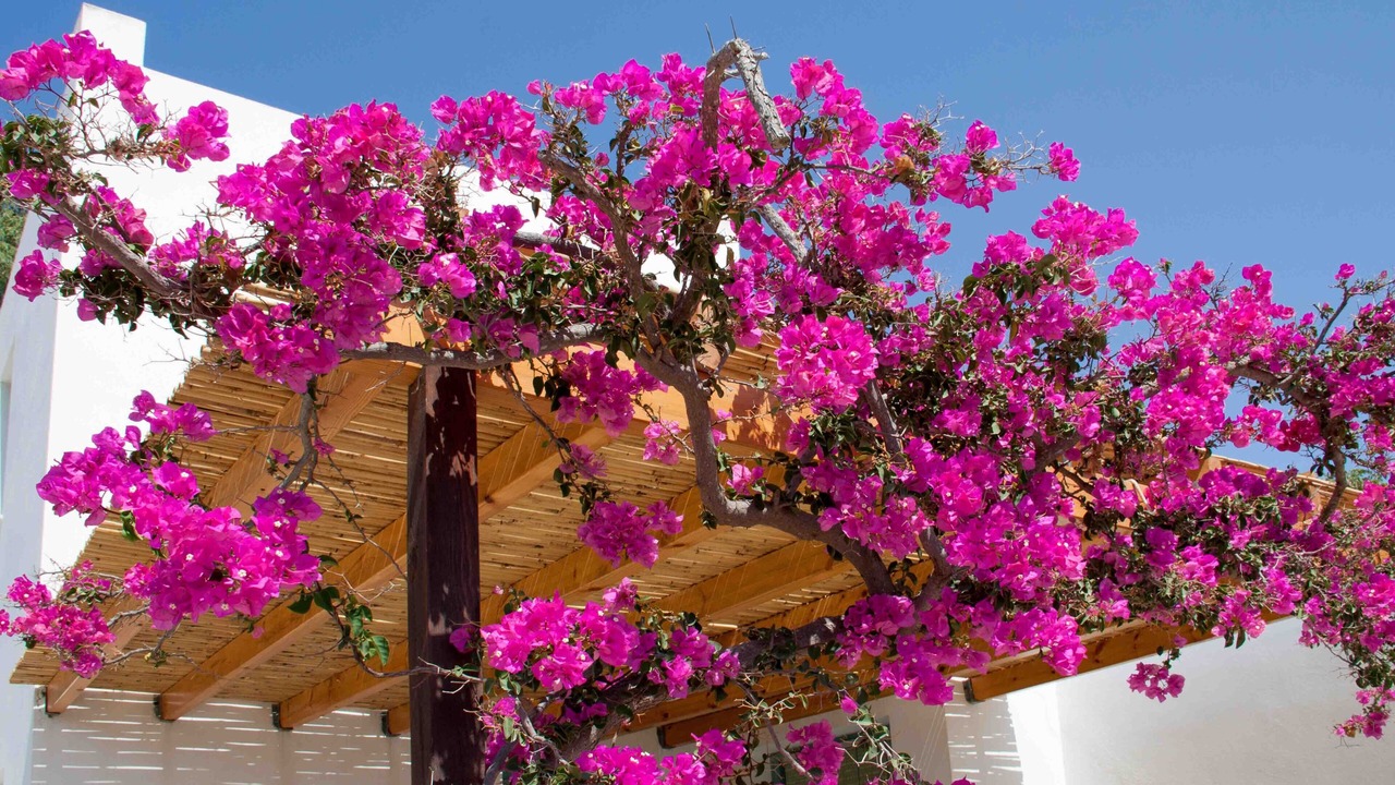 Photo of Outdoor in Zefiria