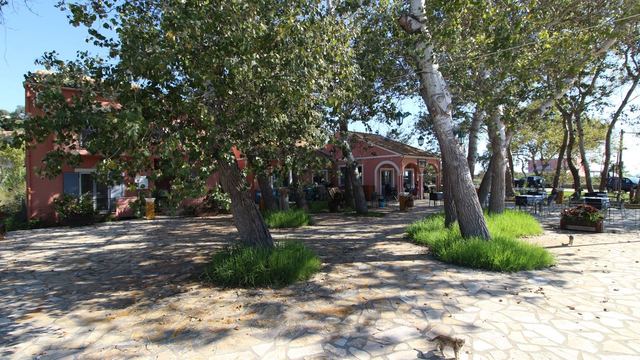 Photo of Others in Erikousa Island