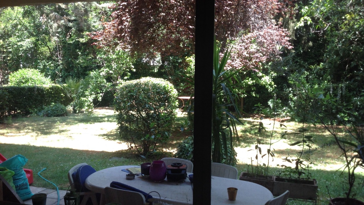 Photo of Outdoor in Filothei