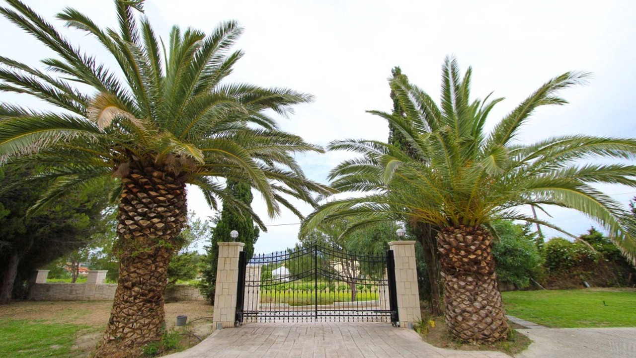 Photo of Others in Porto Koukla
