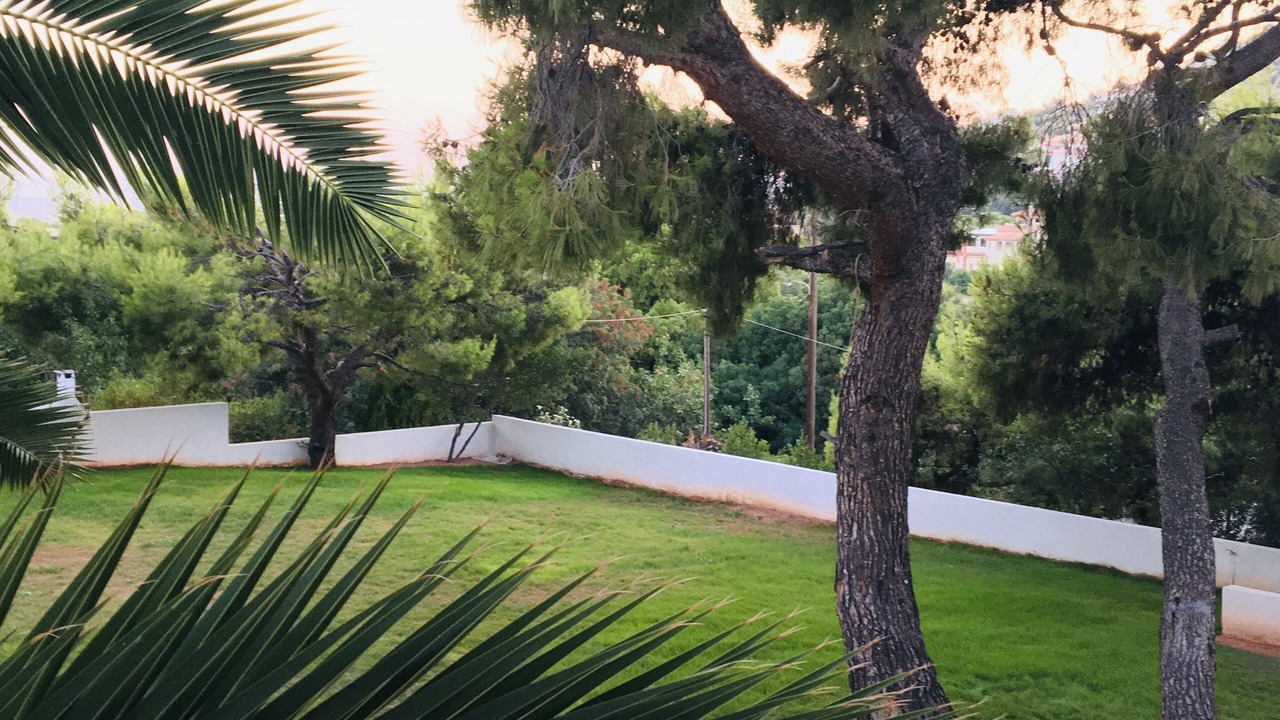 Photo of Outdoor in Lagonissi