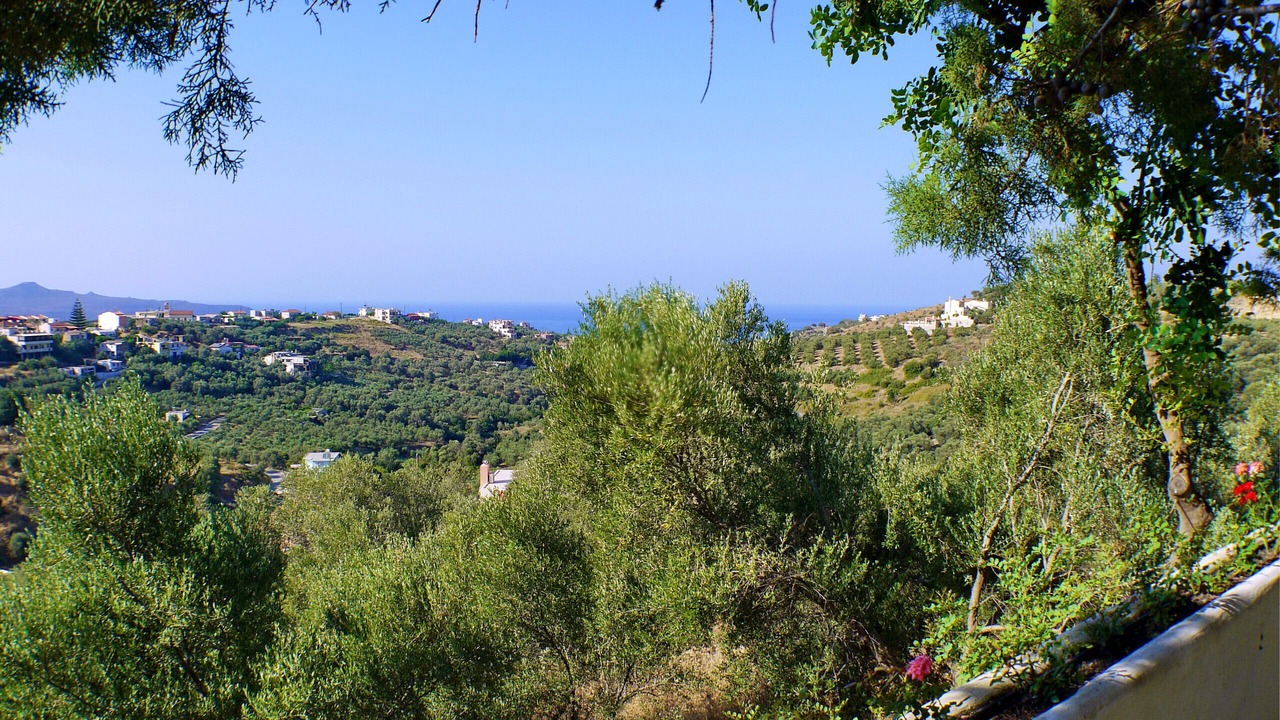 Photo of Others in Stalos
