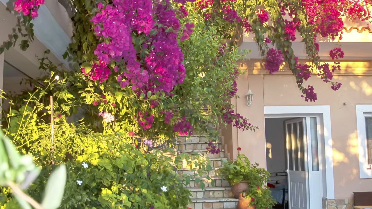Photo of Outdoor in Sinarades