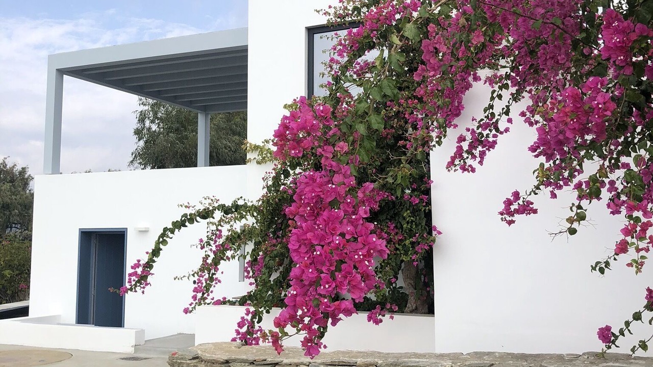 Photo of Outdoor in Ydrousa