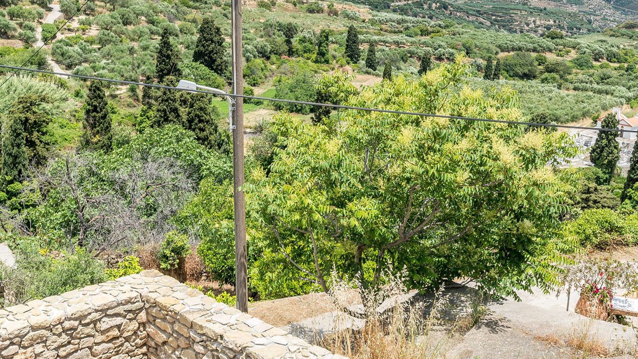 Photo of Others in Sitia