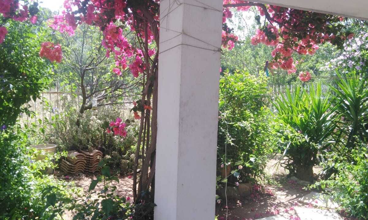 Photo of Outdoor in Nea Makri
