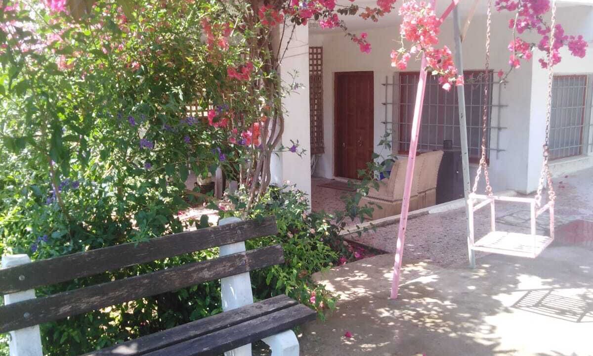Photo of Patio Balcony in Nea Makri
