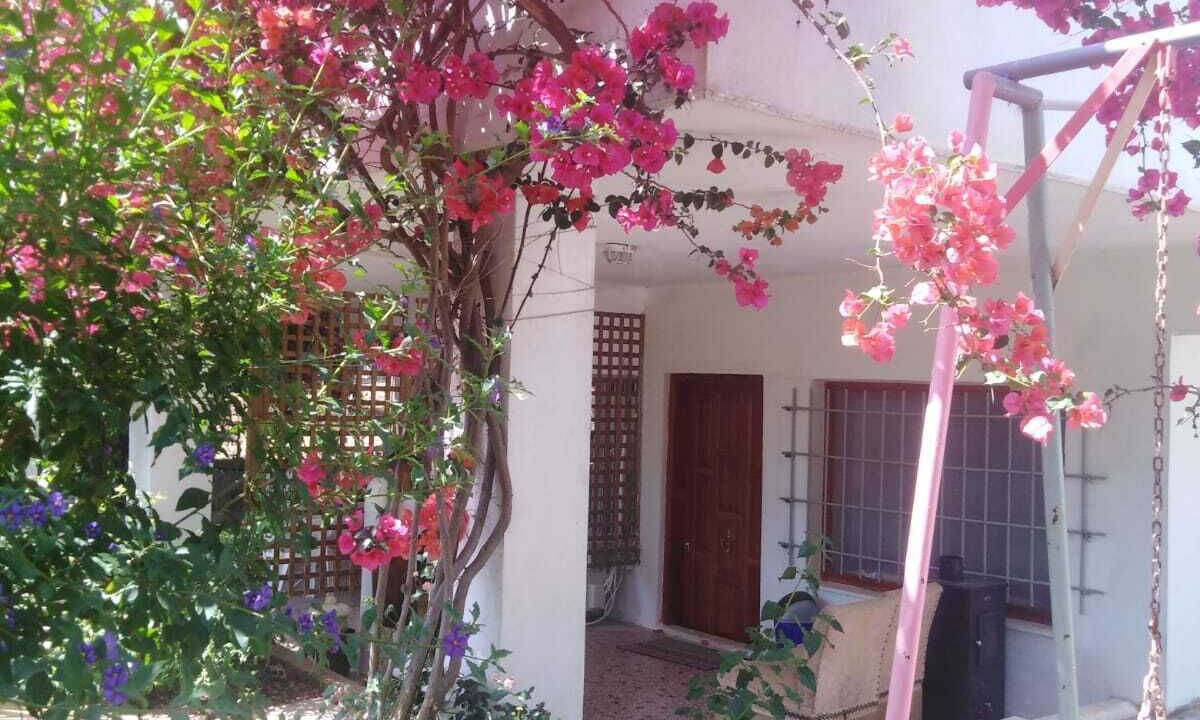 Photo of Outdoor in Nea Makri