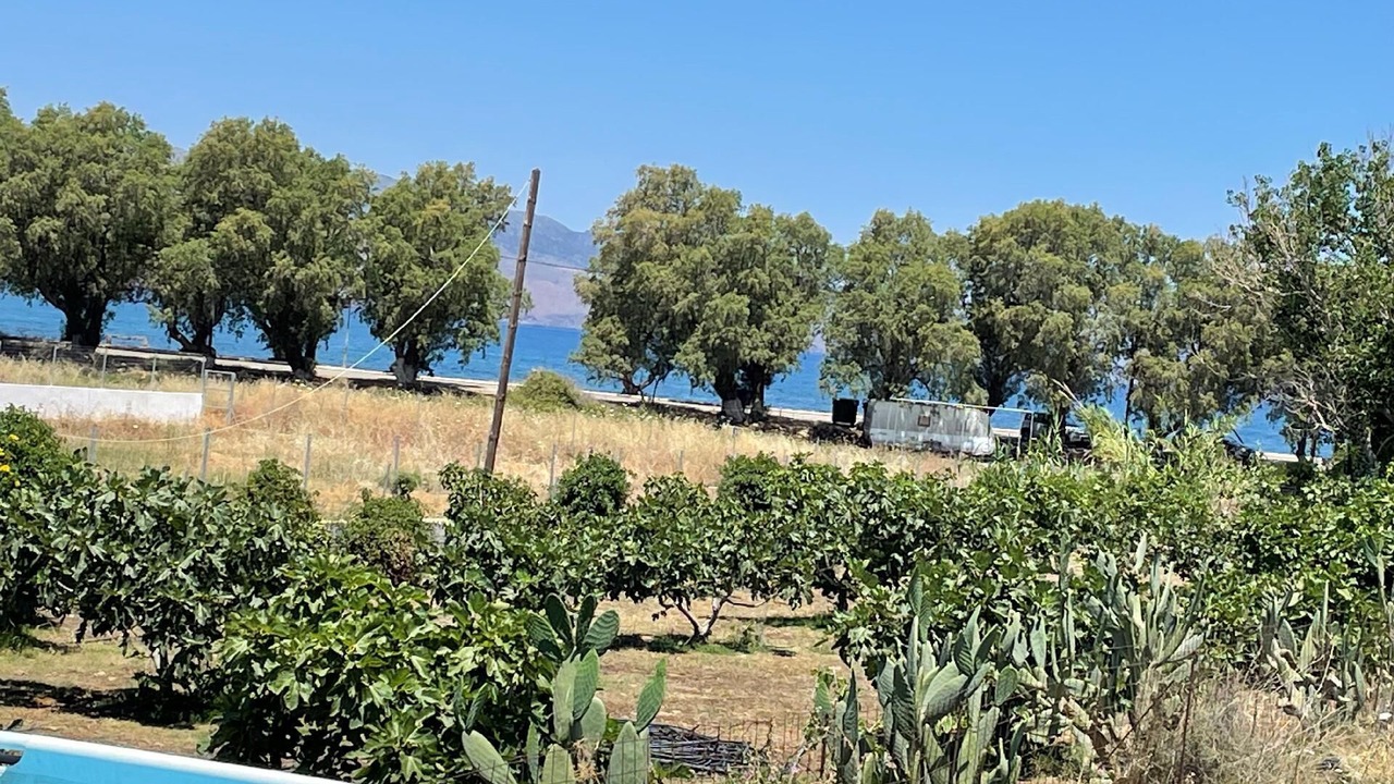 Photo of Others in Tavronitis