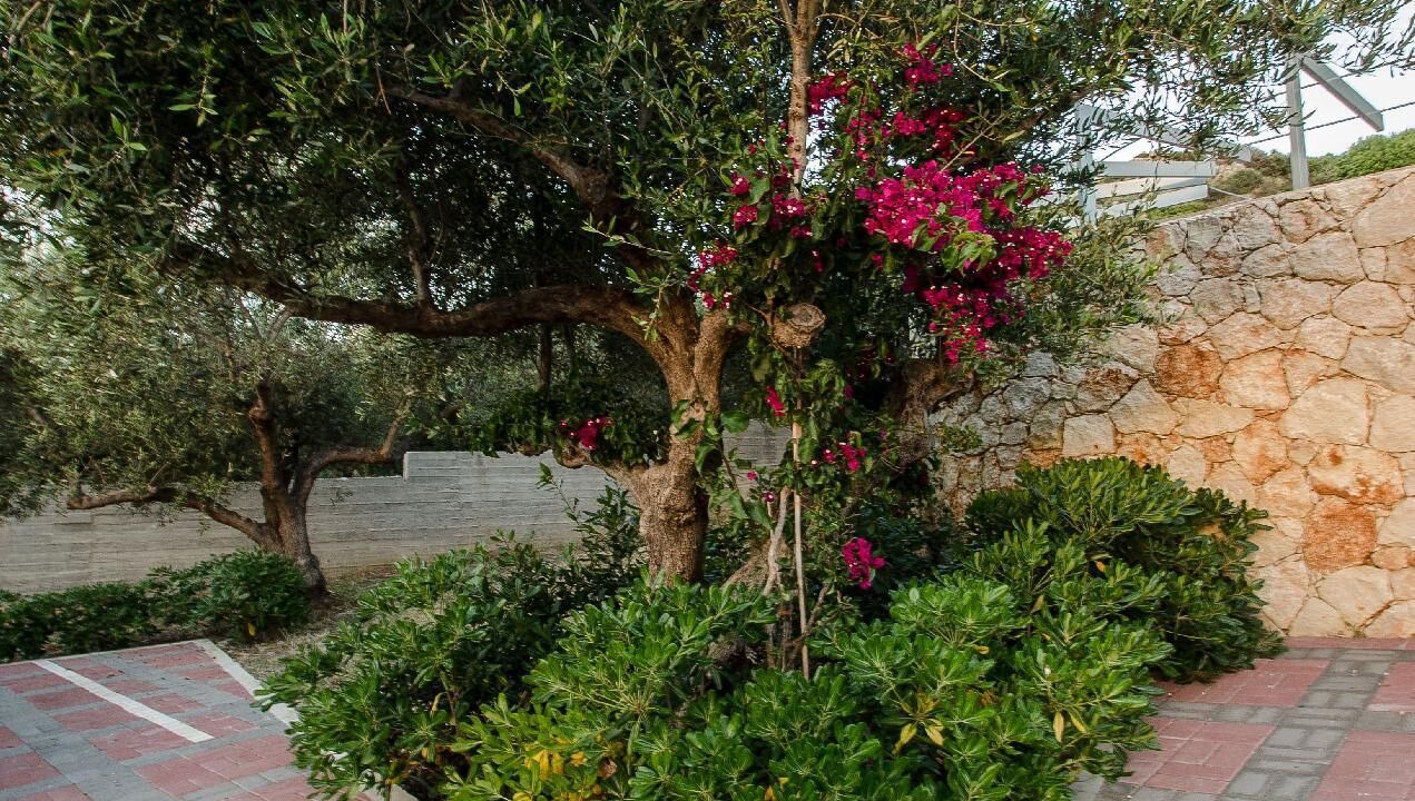 Photo of Outdoor in Nopigia