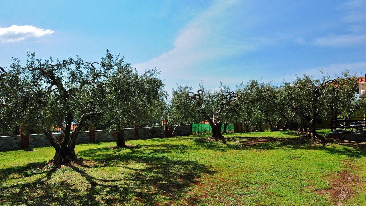 Photo of Outdoor in Gerakini