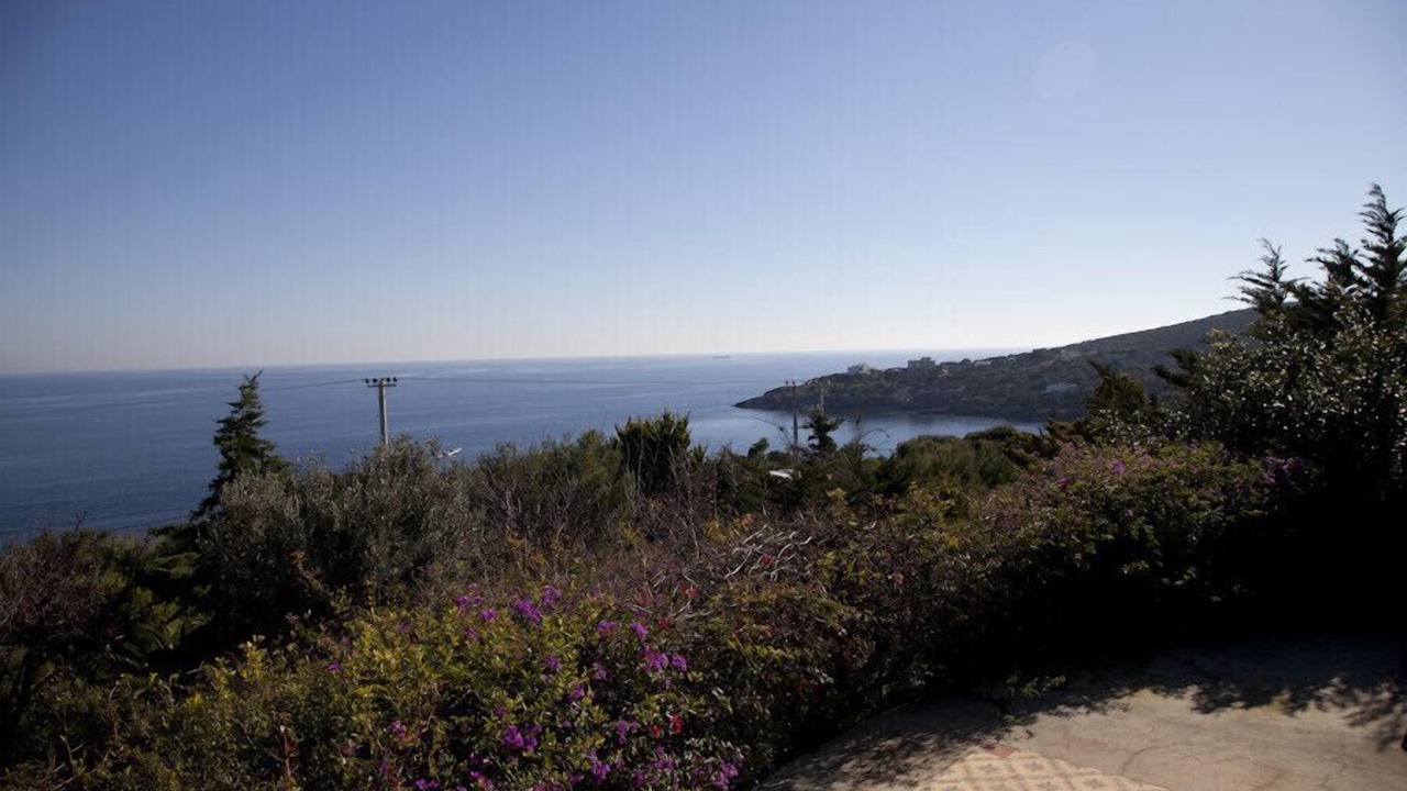 Photo of Others in Kato Sounion