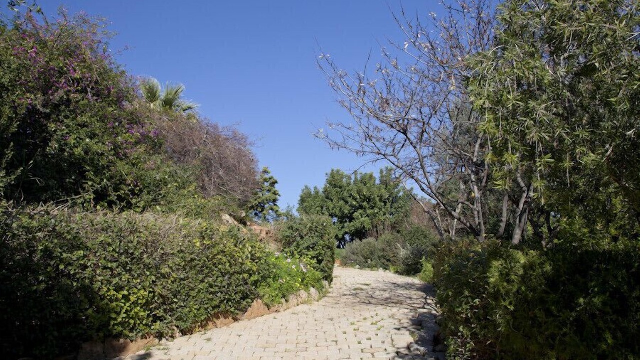 Photo of Outdoor in Kato Sounion