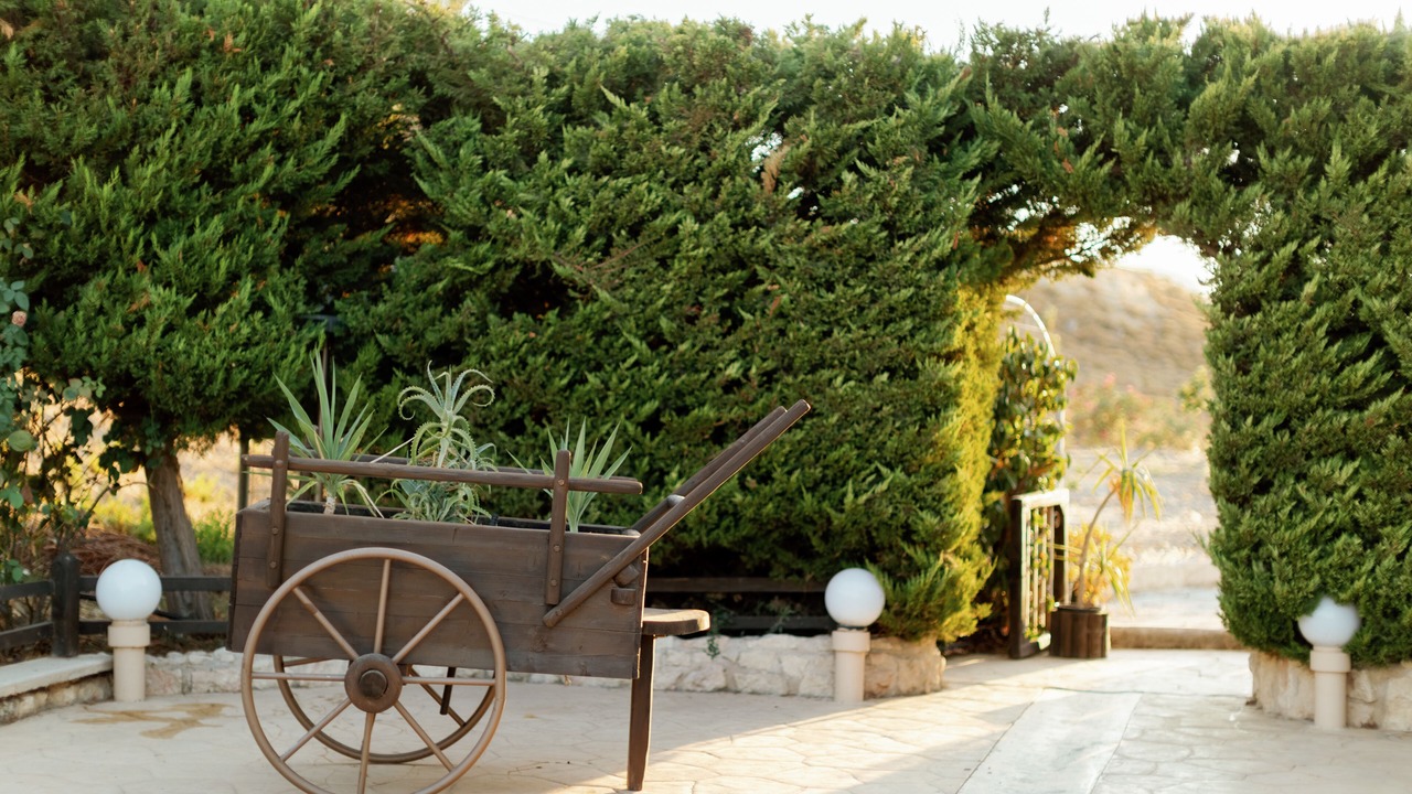 Photo of Outdoor in Kos