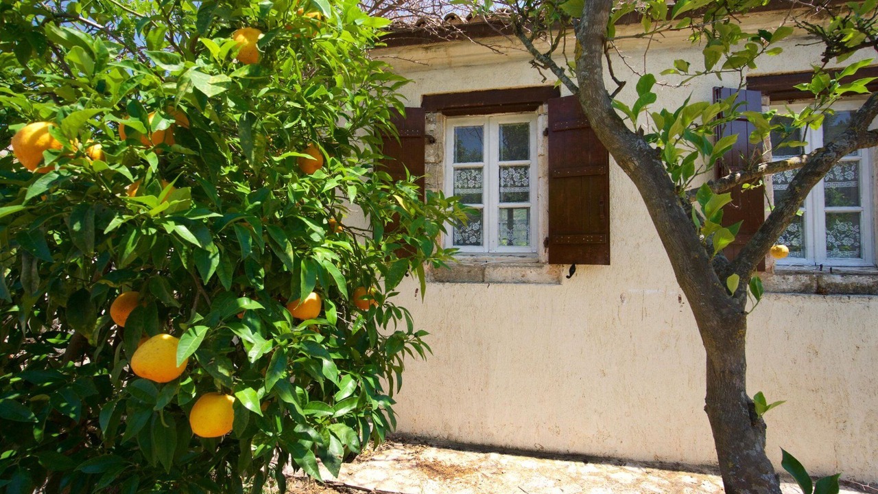 Photo of Others in Mazarakata