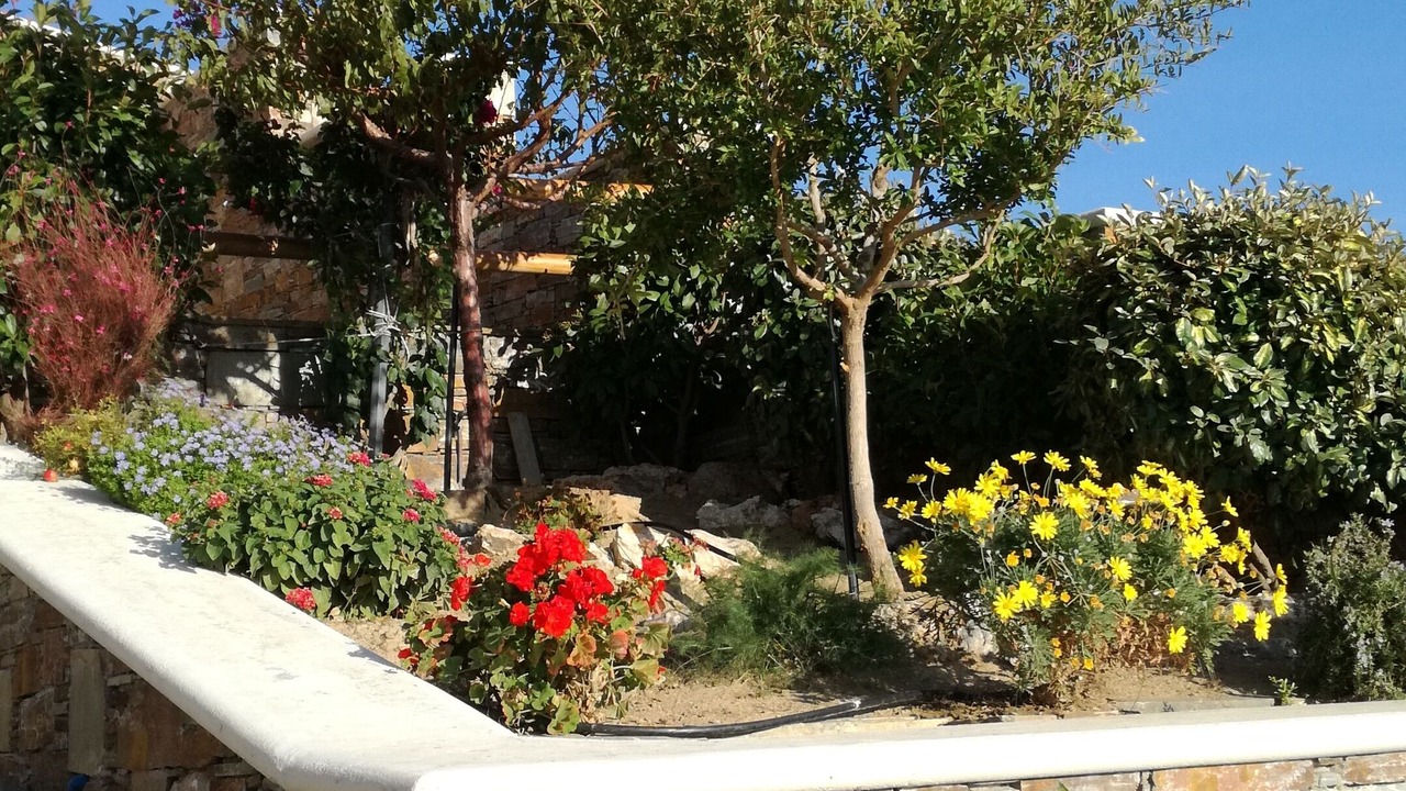 Photo of Outdoor in Karystos