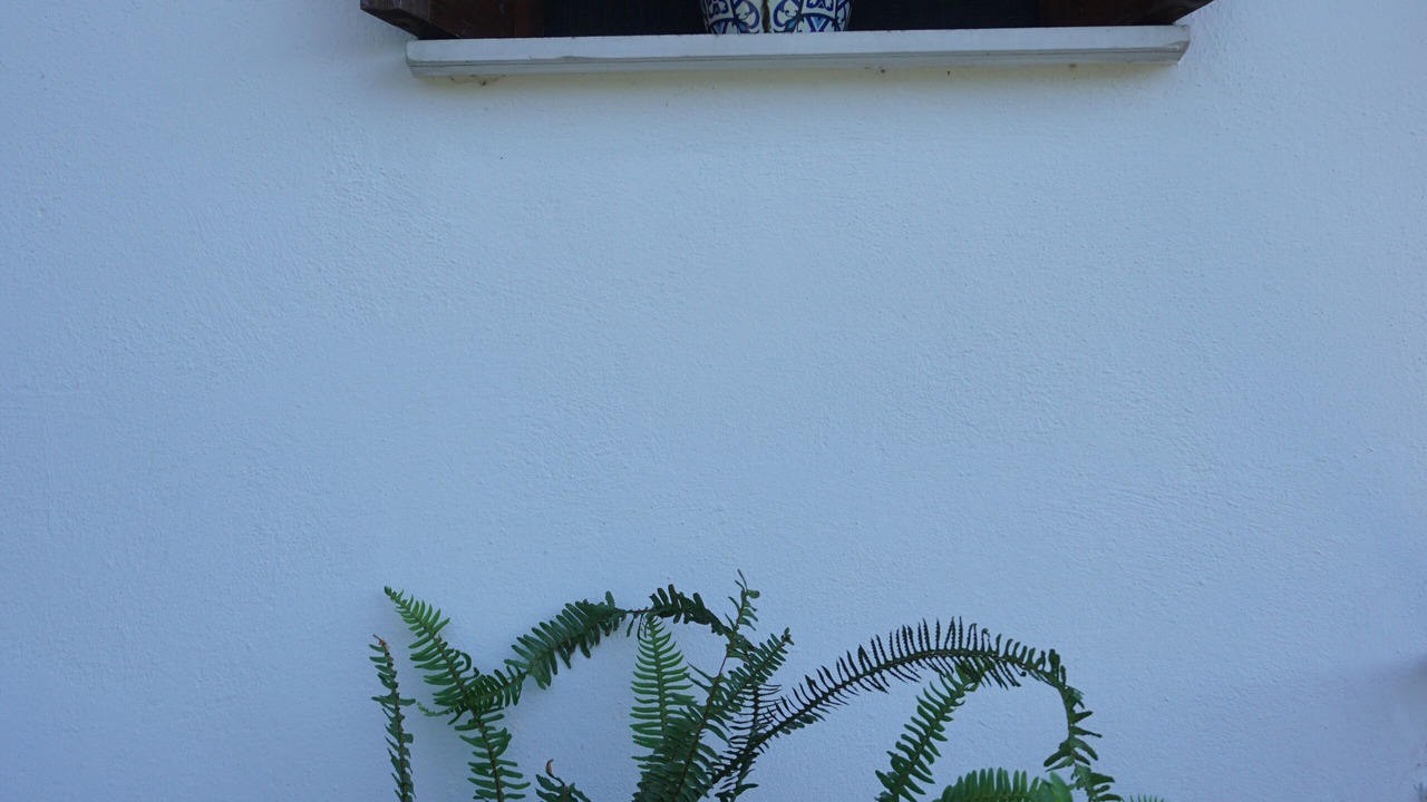 Photo of Outdoor in Tsagarada