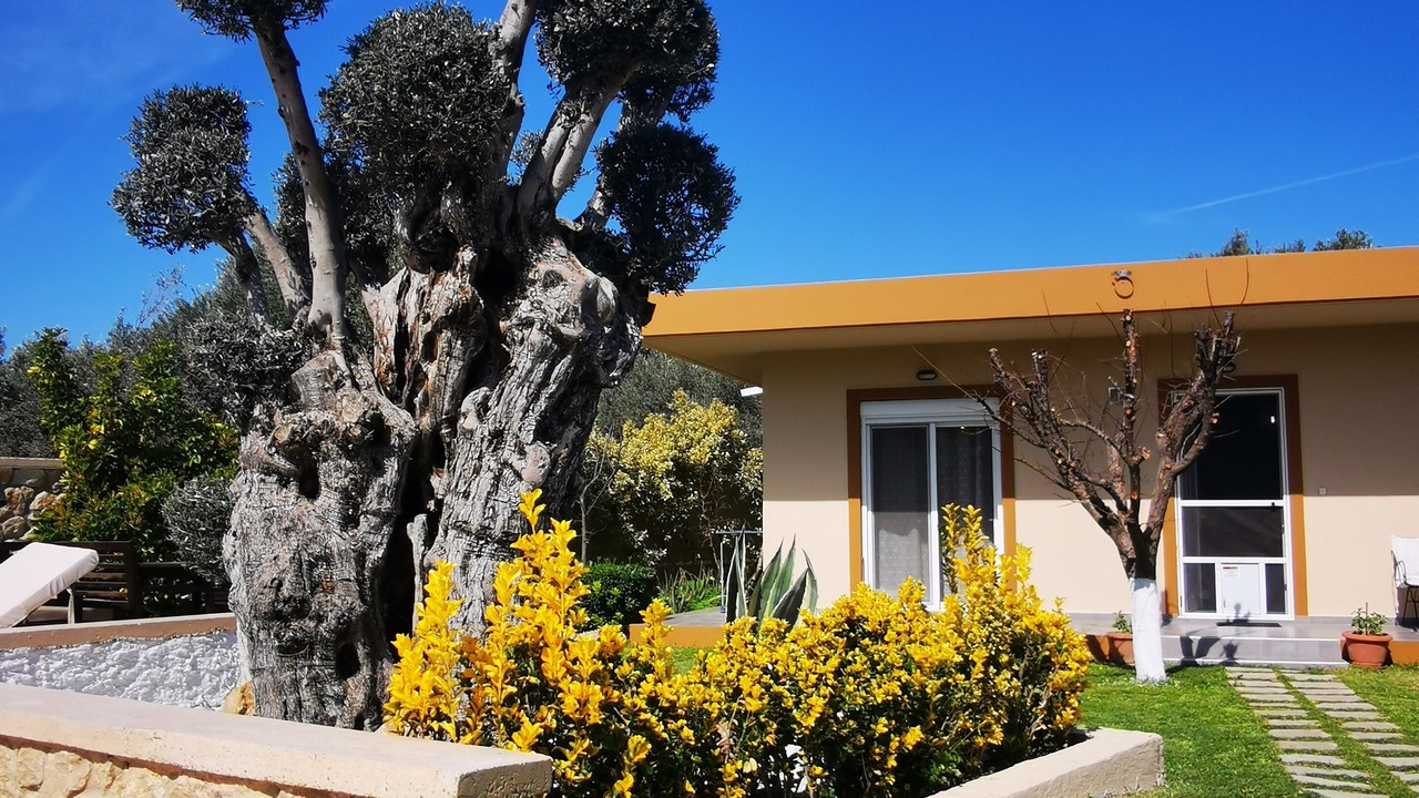 Photo of Outdoor in Filerimos