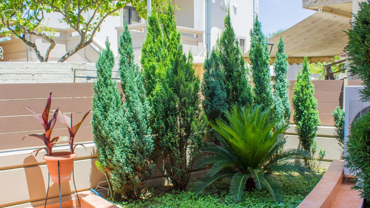 Photo of Outdoor in Galatas
