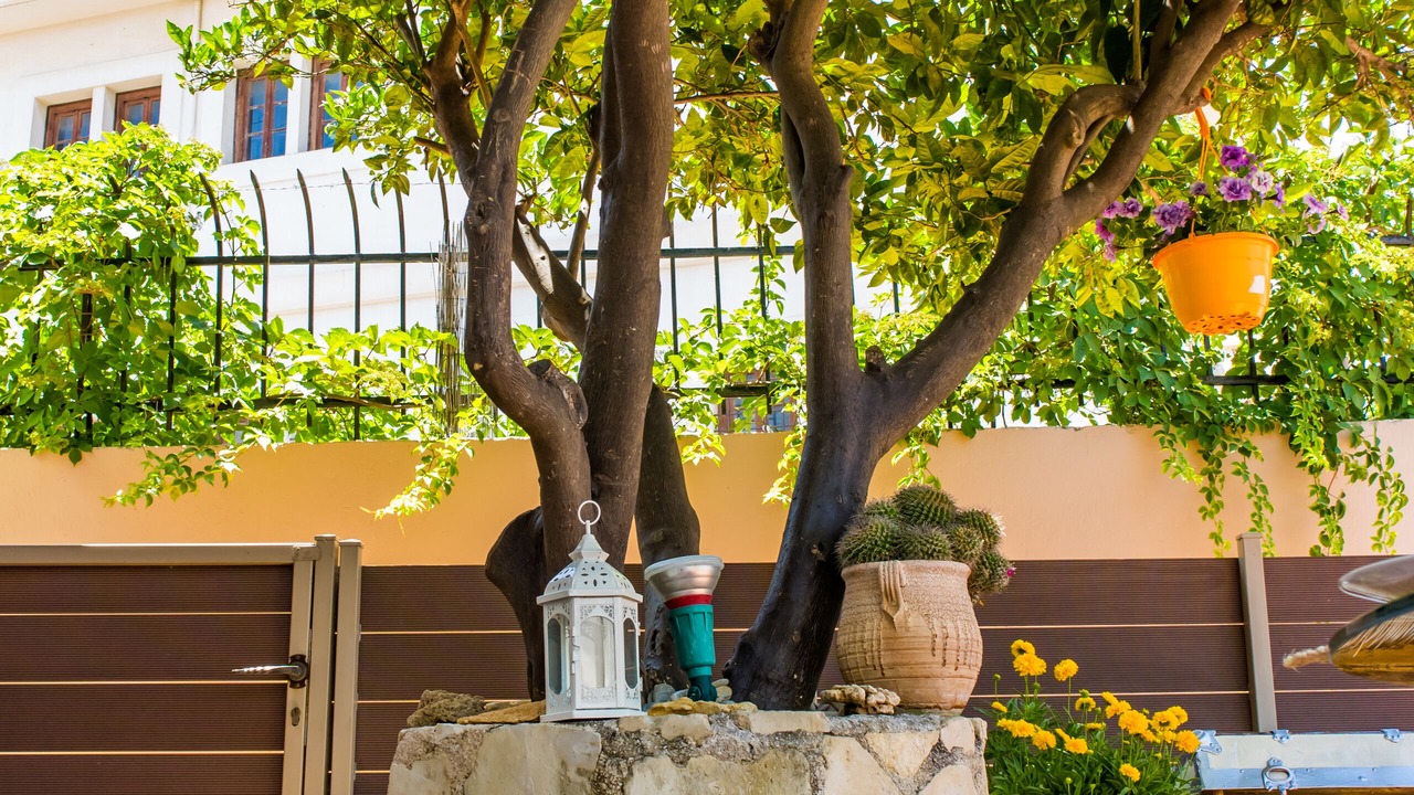 Photo of Patio Balcony in Galatas