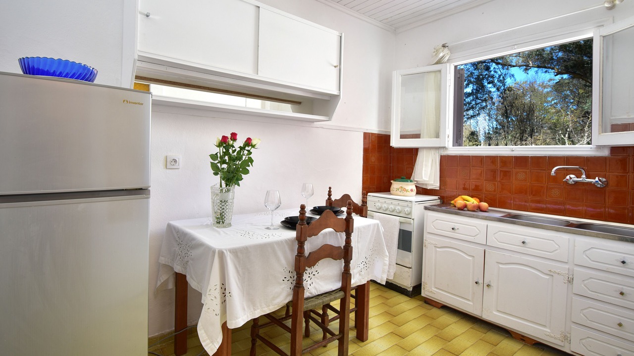 Photo of Kitchen in Limni