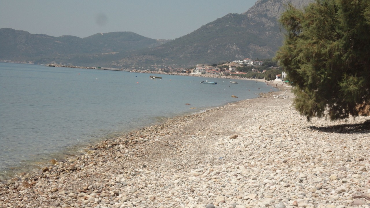 Photo of Others in Marathokampos