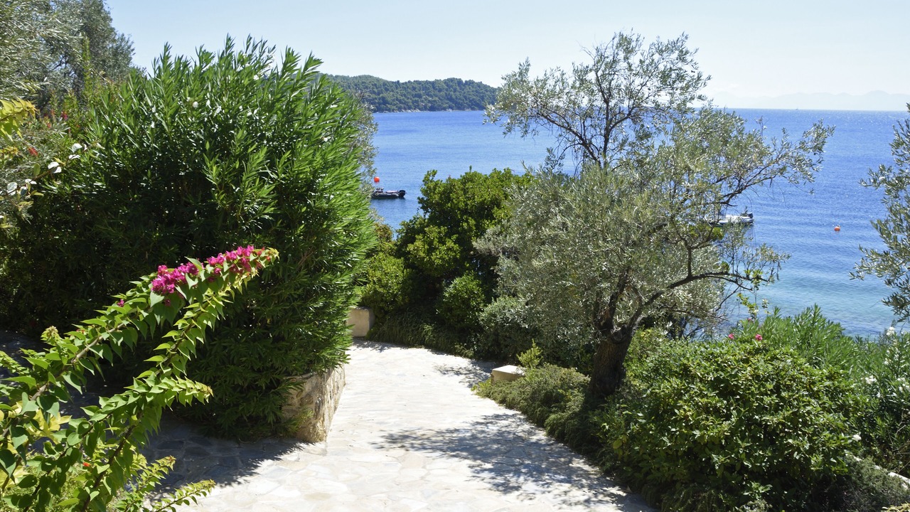 Photo of Others in Agia Paraskevi