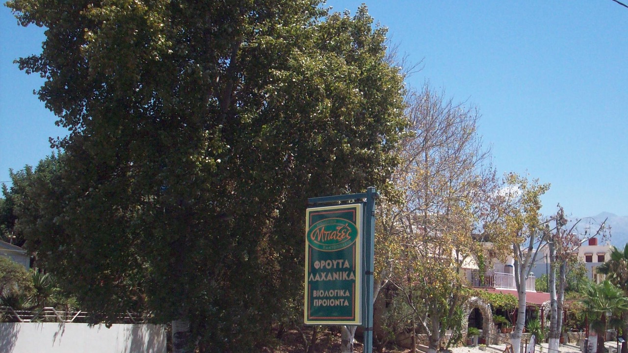 Photo of Outdoor in Daratsos