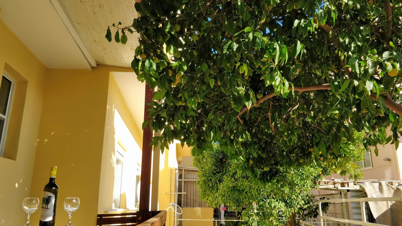 Photo of Outdoor in Rhodes Town