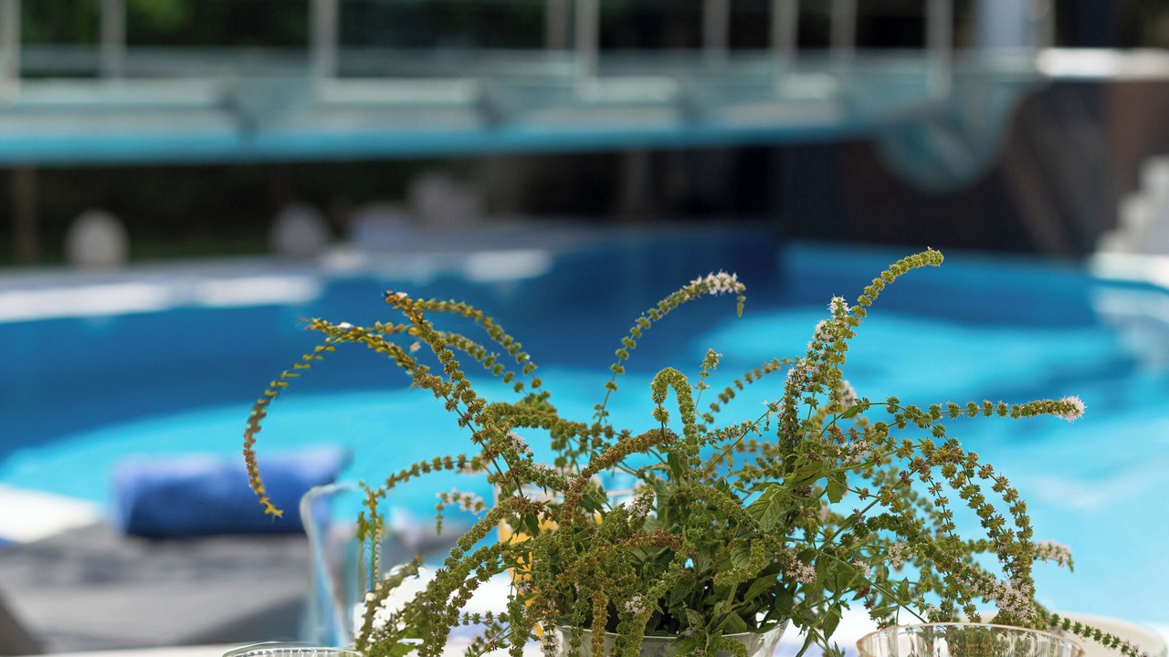Photo of Outdoor in Glyfada