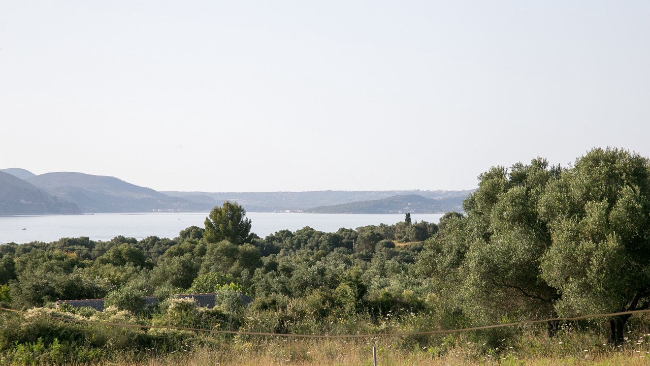 Photo of Others in Paliki