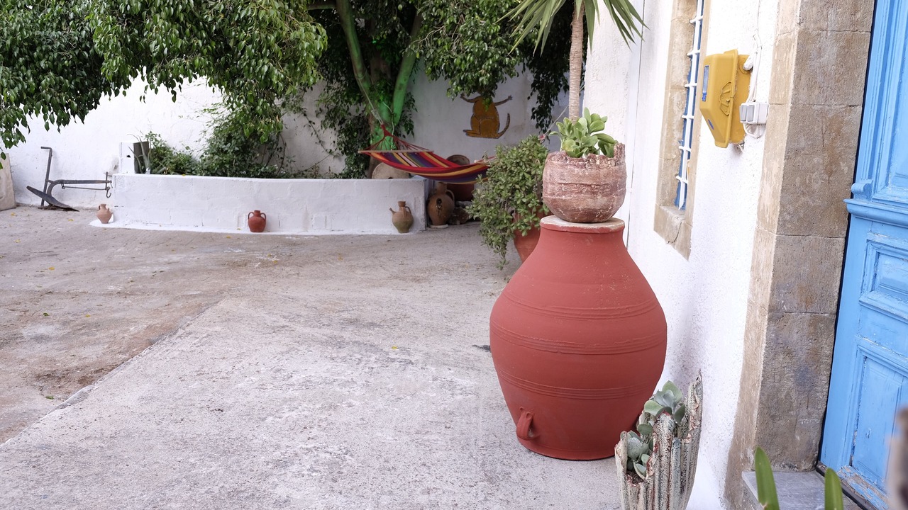 Photo of Outdoor in Pombia
