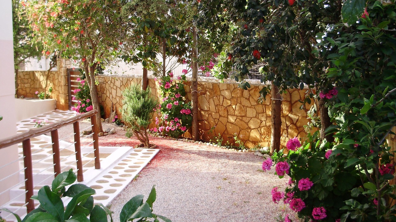 Photo of Outdoor in Kalathas