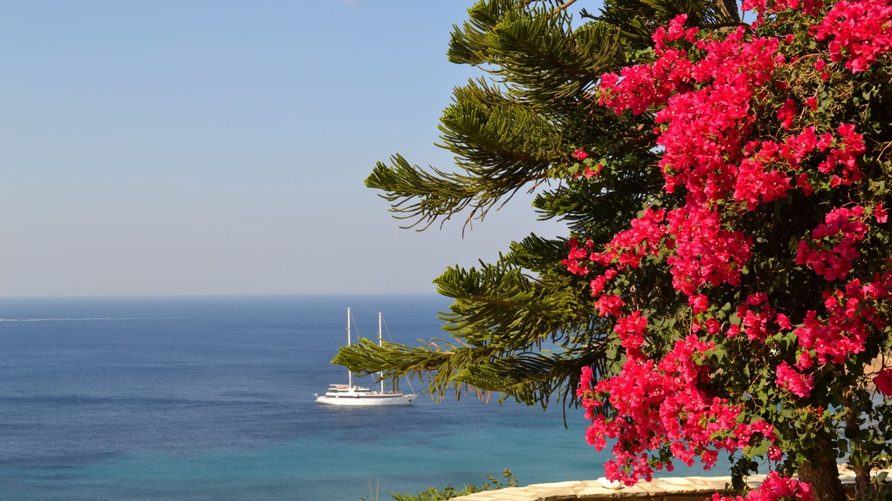 Photo of Others in Agios Sostis
