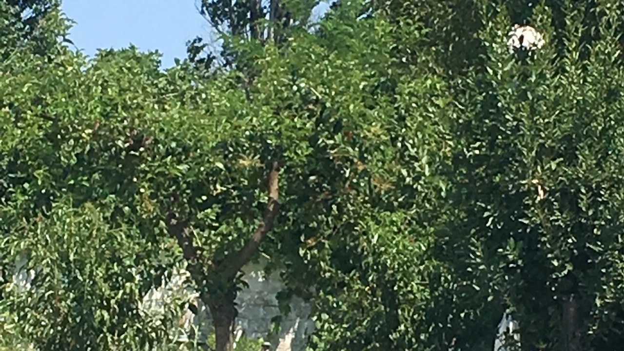 Photo of Outdoor in Katerini