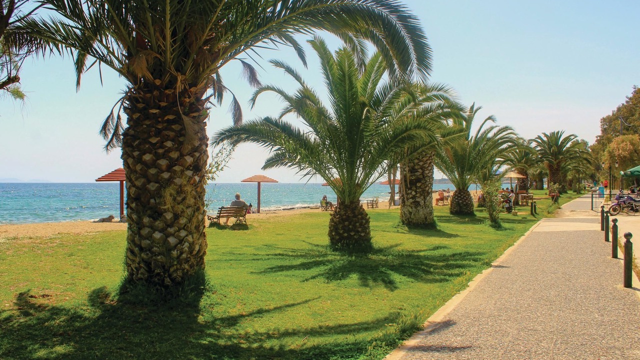 Photo of Others in Nea Makri