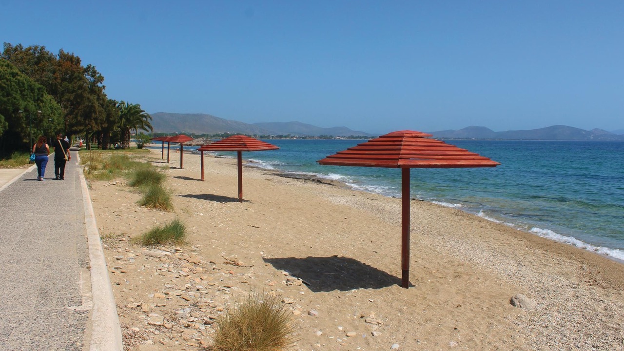 Photo of Others in Nea Makri