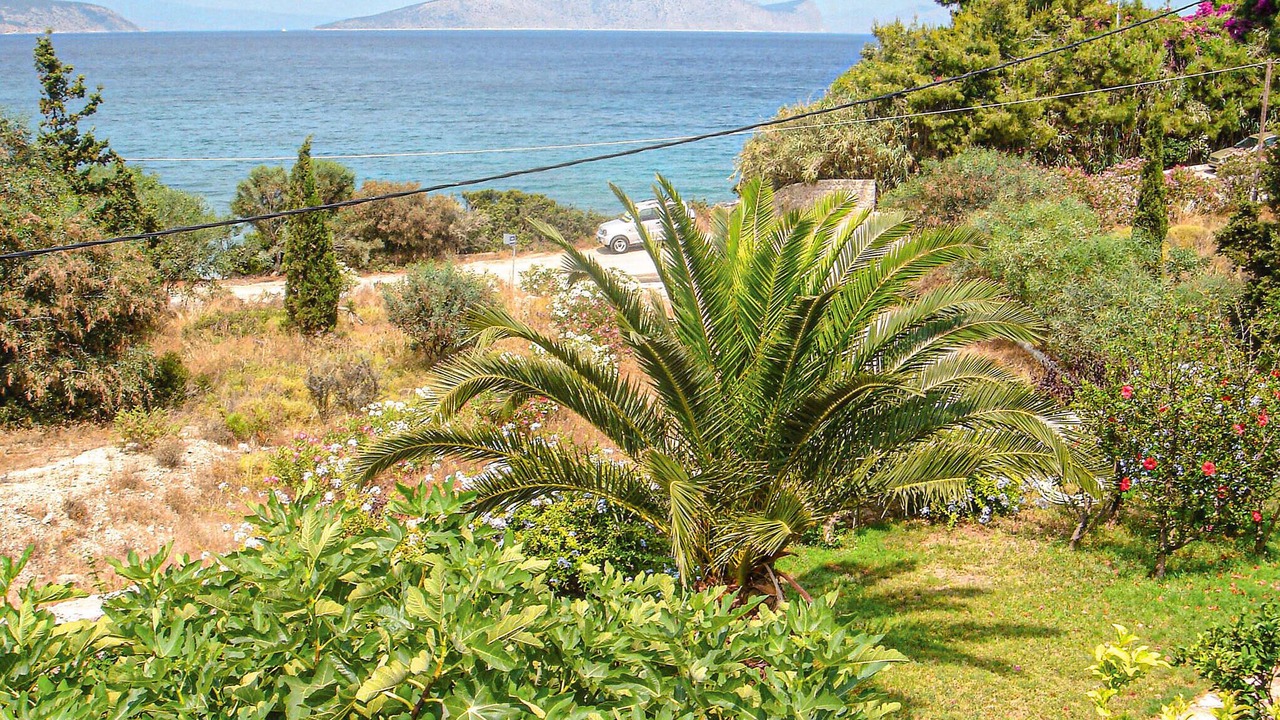 Photo of Others in Agios Emilianos