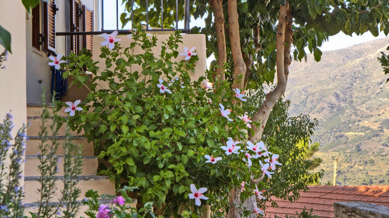 Photo of Outdoor in Amarion