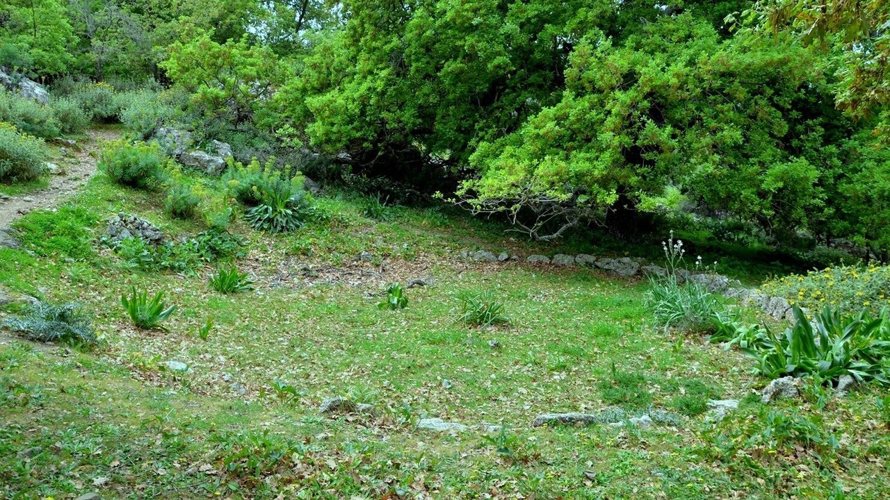 Photo of Others in Amarion